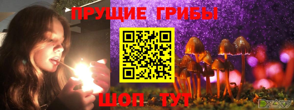 Псилоцибиновые грибы GOLDEN TEACHER Мичуринск